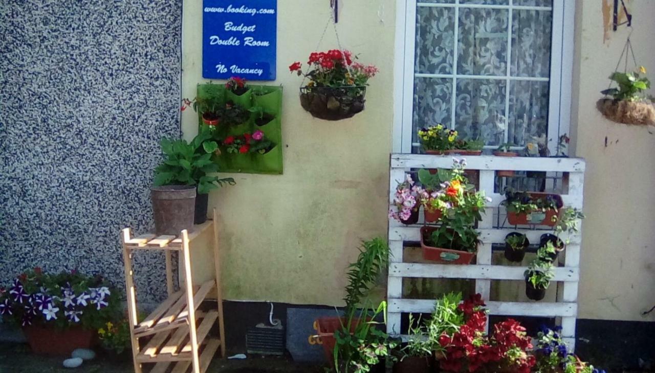 פלימות' City Cottage Guest House מראה חיצוני תמונה